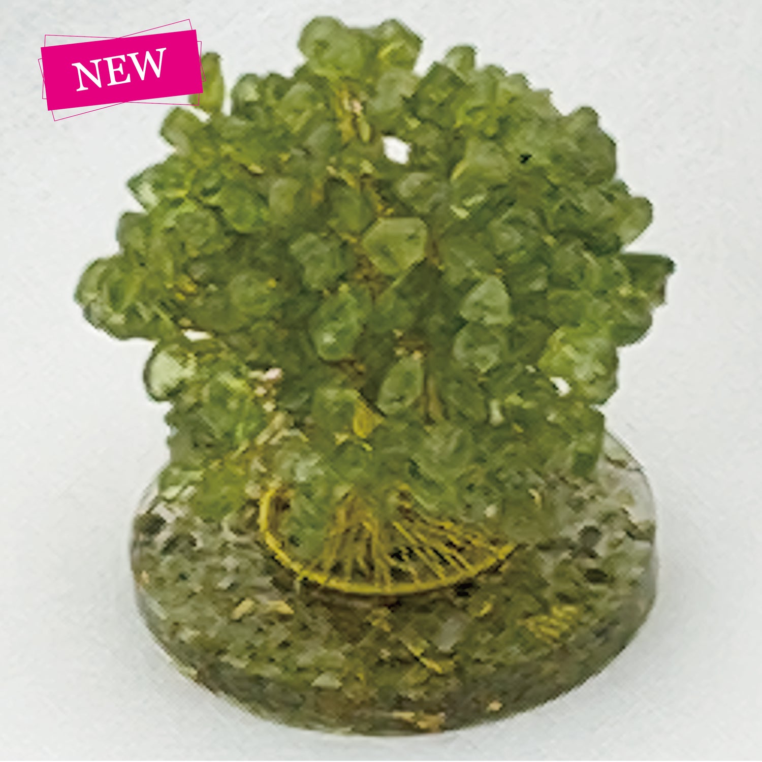 Money Tree Olivine @ Love Paradise Series