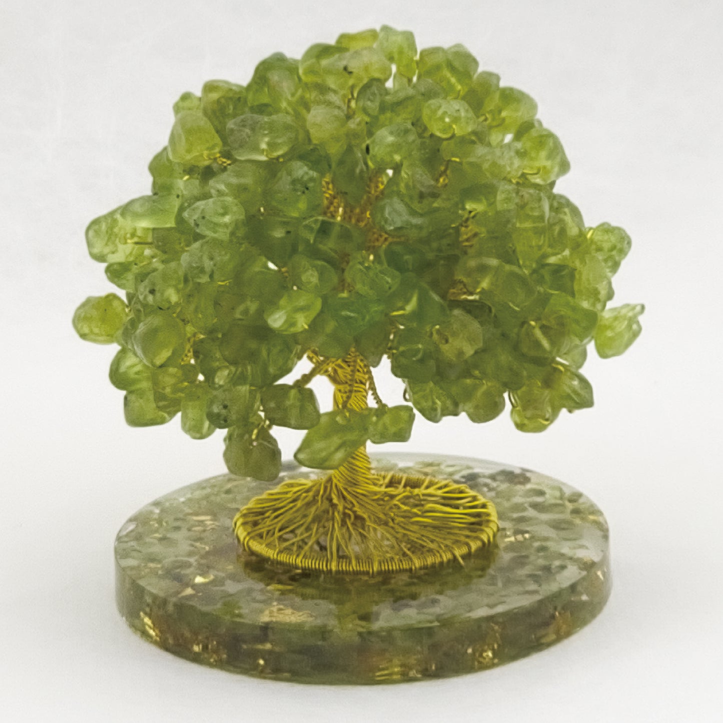 Money Tree Olivine  @ Love Paradise Series