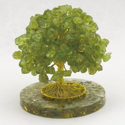 Money Tree Olivine  @ Love Paradise Series