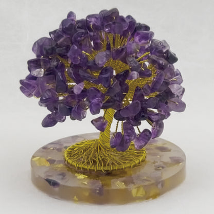 Money Tree Amethyst @ Love Paradise Series