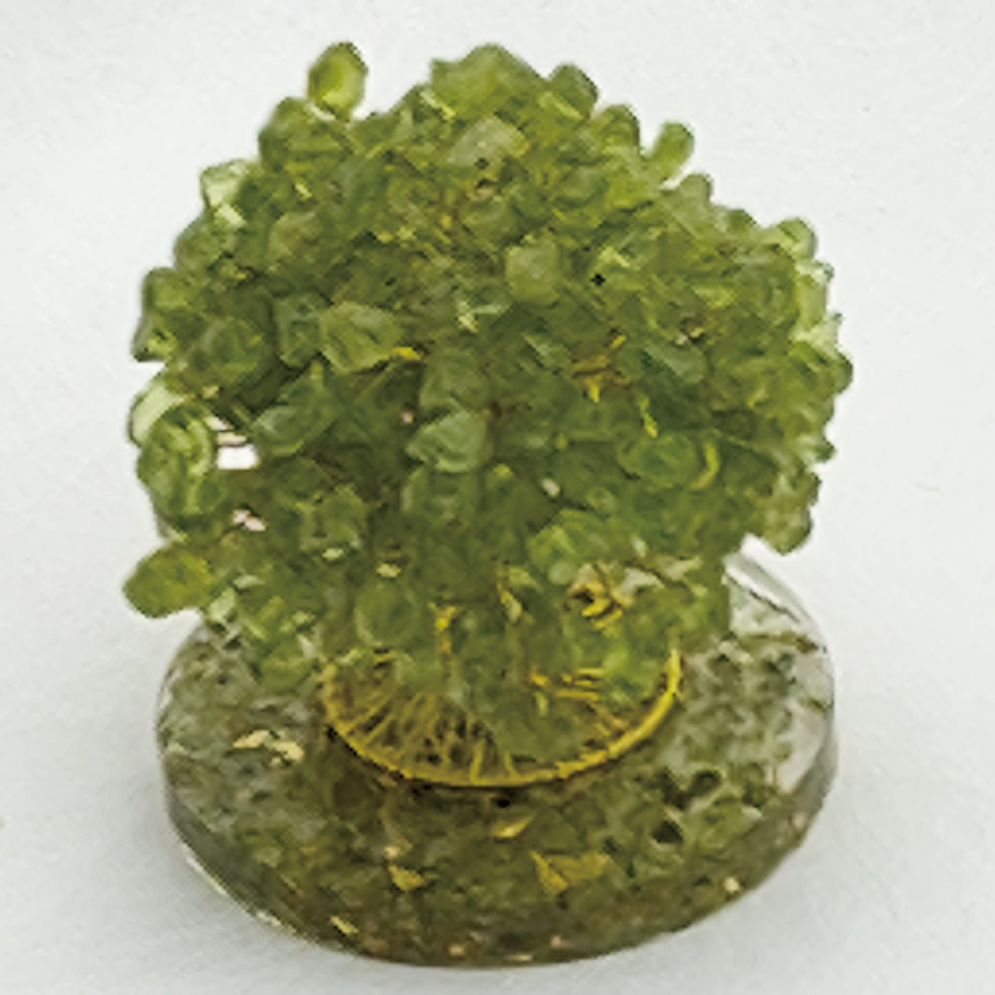 Money Tree Olivine  @ Love Paradise Series