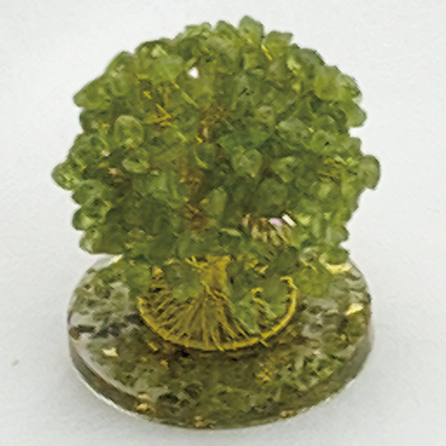 Money Tree Olivine  @ Love Paradise Series