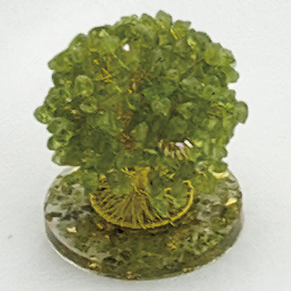 Money Tree Olivine  @ Love Paradise Series