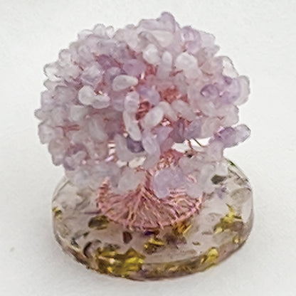 Money Tree Lavender Amethyst @ Love Paradise Series