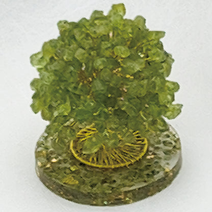Money Tree Olivine  @ Love Paradise Series
