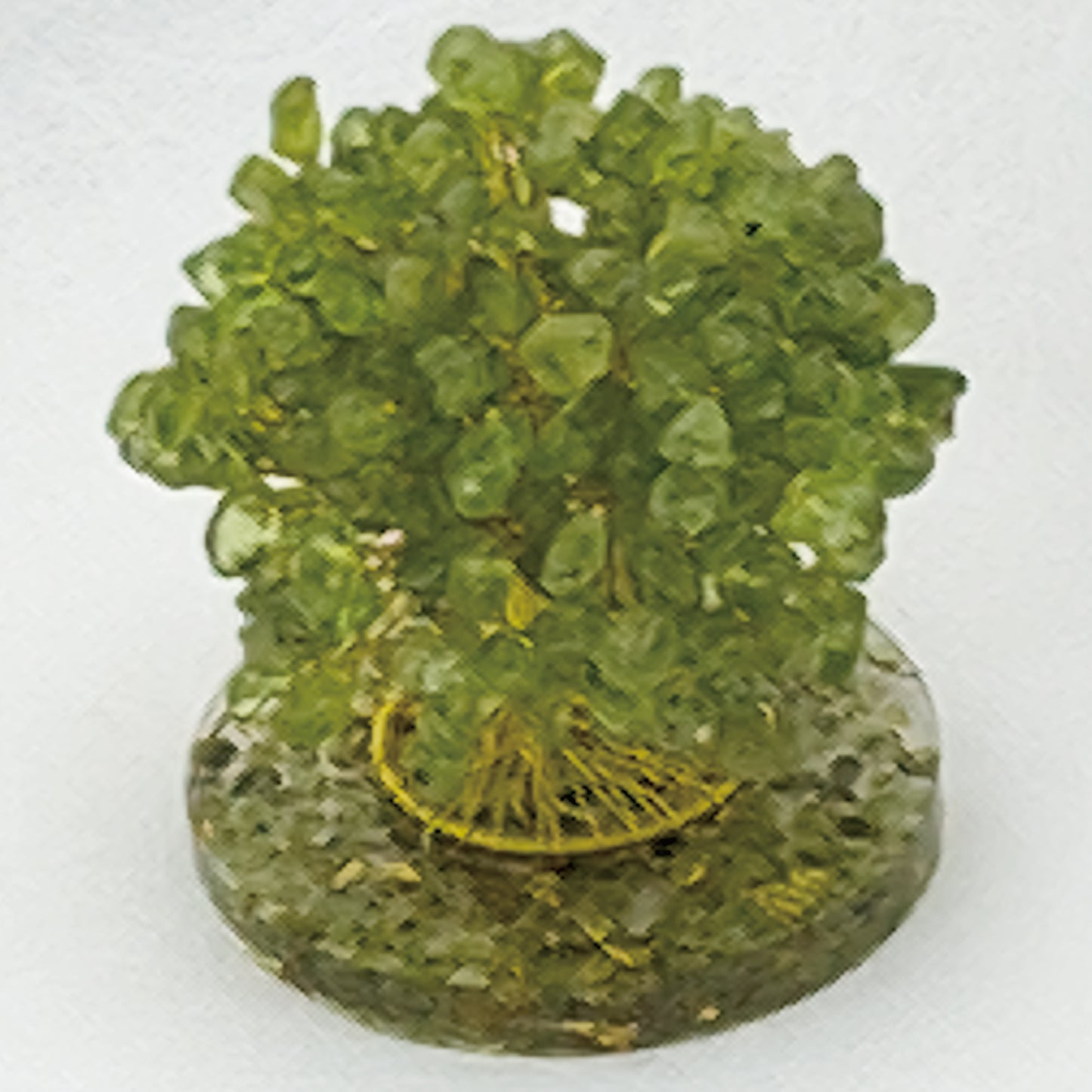 Money Tree Olivine  @ Love Paradise Series