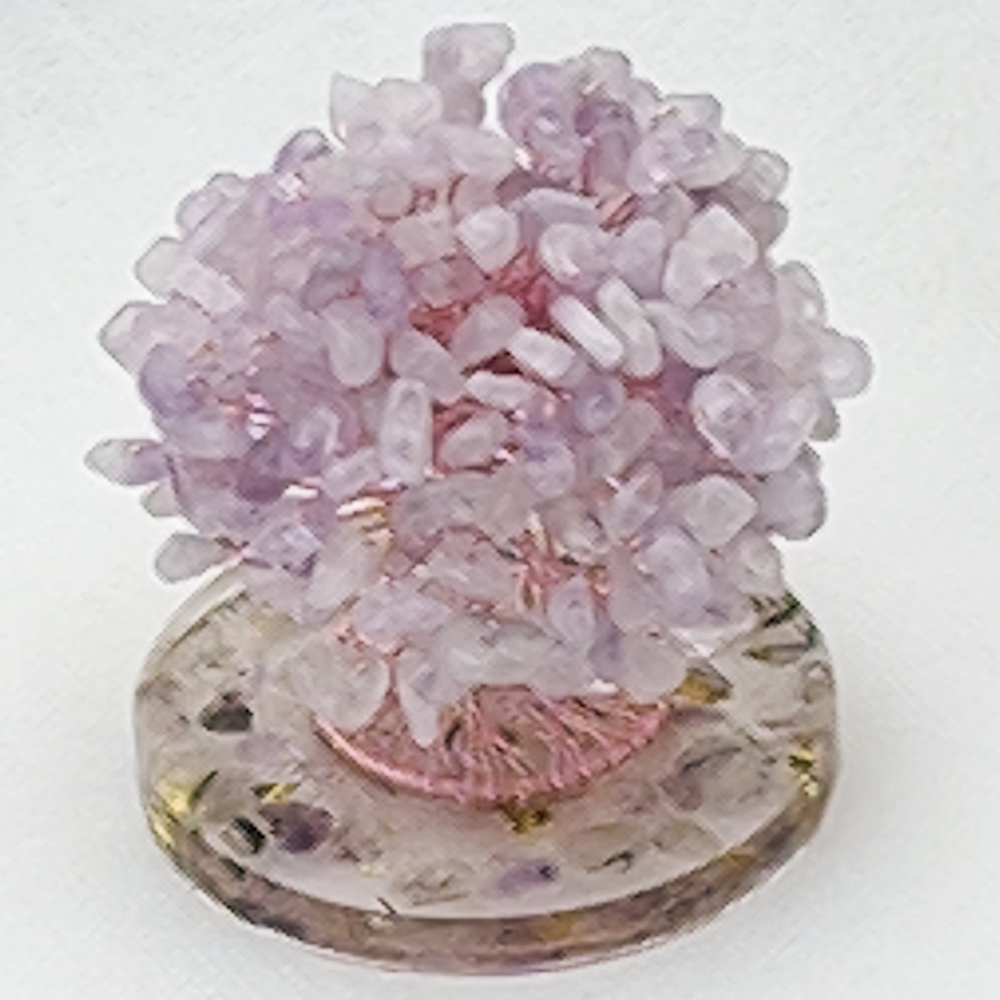Money Tree Lavender Amethyst @ Love Paradise Series
