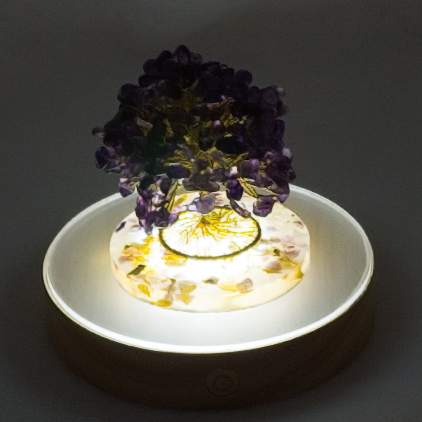 Money Tree Amethyst @ Love Paradise Series