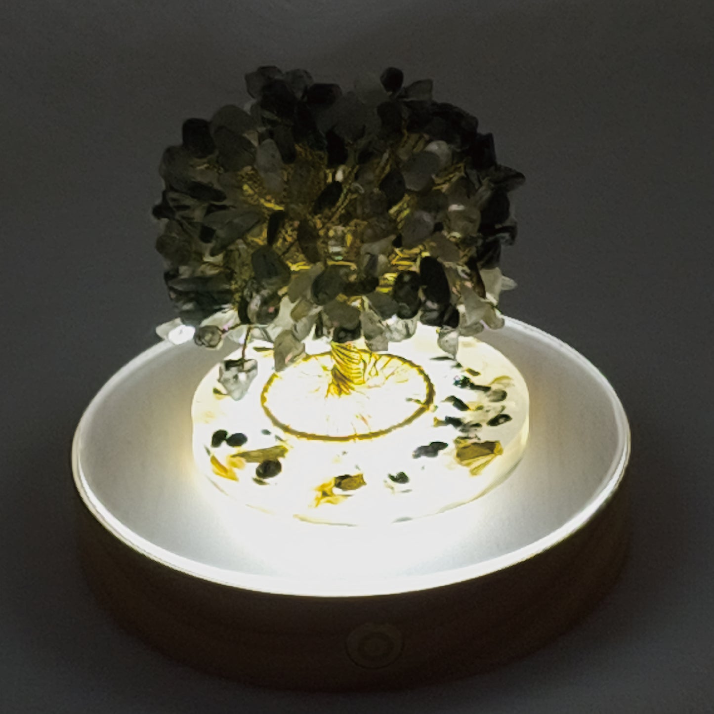 Money Tree Black Rutilated Quartz @ Love Paradise Series