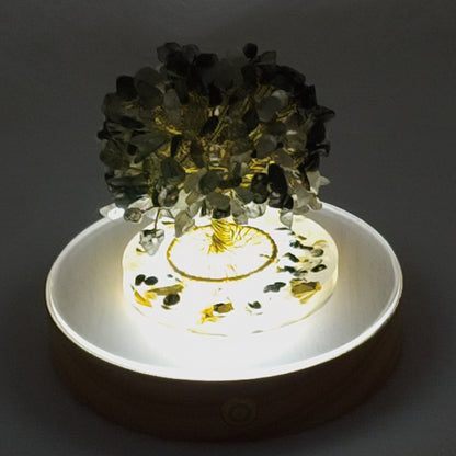 Money Tree Black Rutilated Quartz @ Love Paradise Series