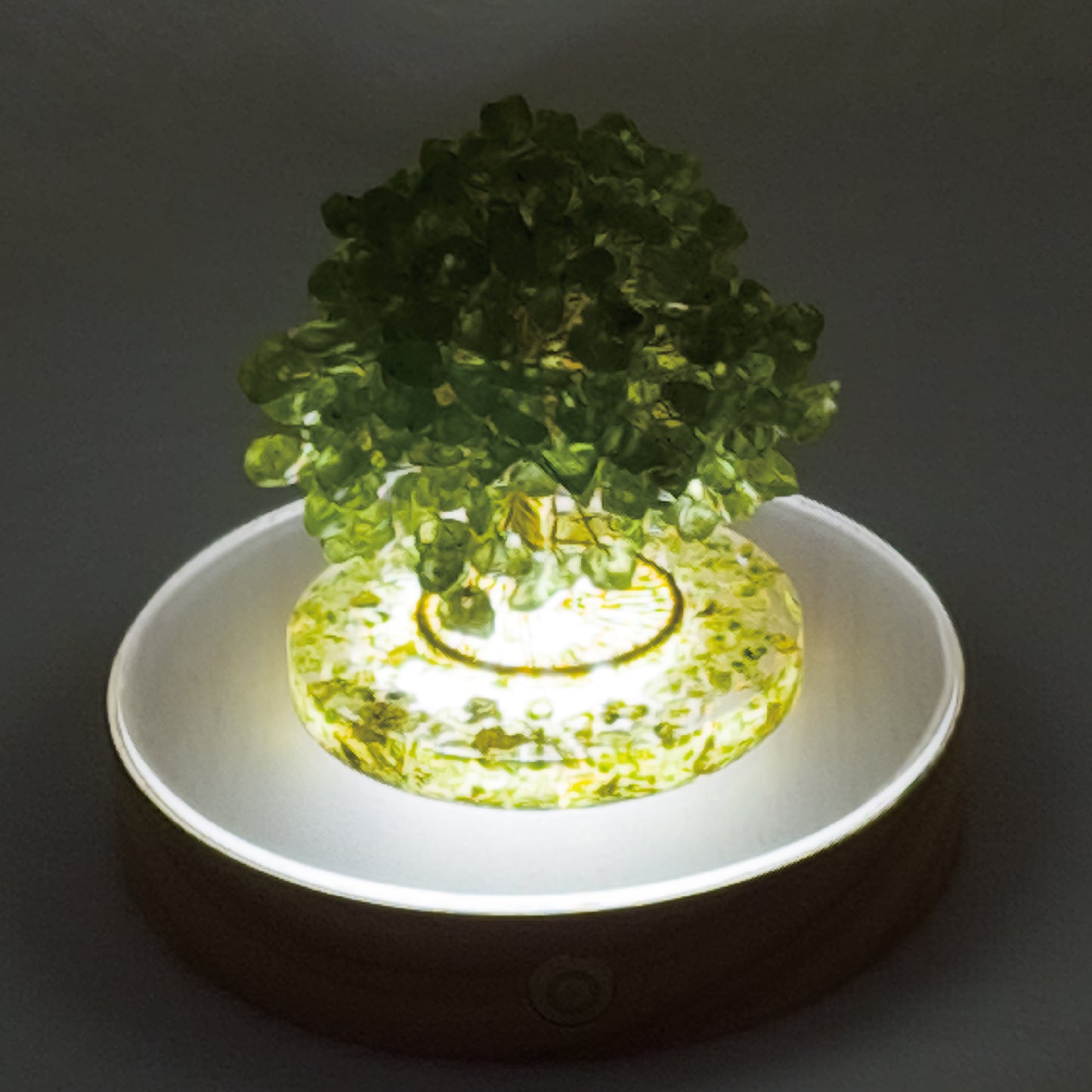 Money Tree Olivine  @ Love Paradise Series