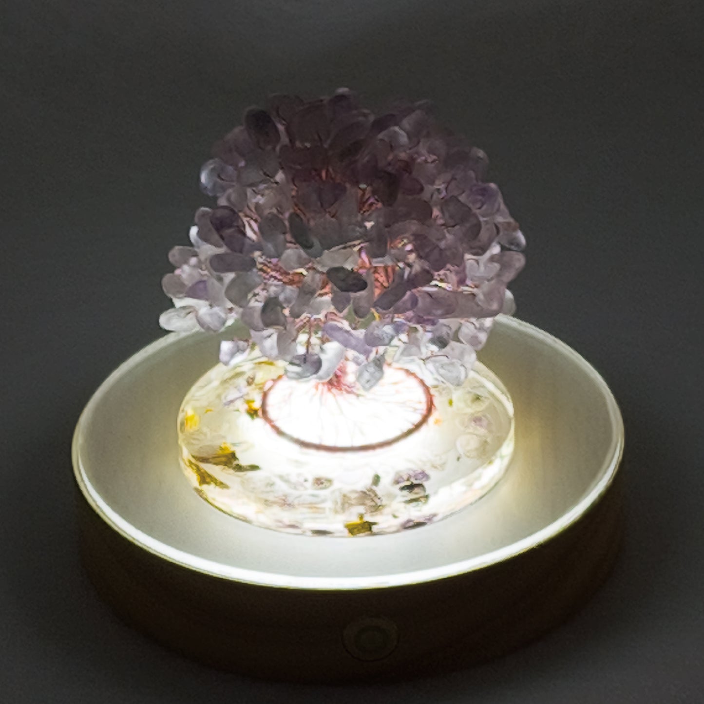 Money Tree Lavender Amethyst @ Love Paradise Series