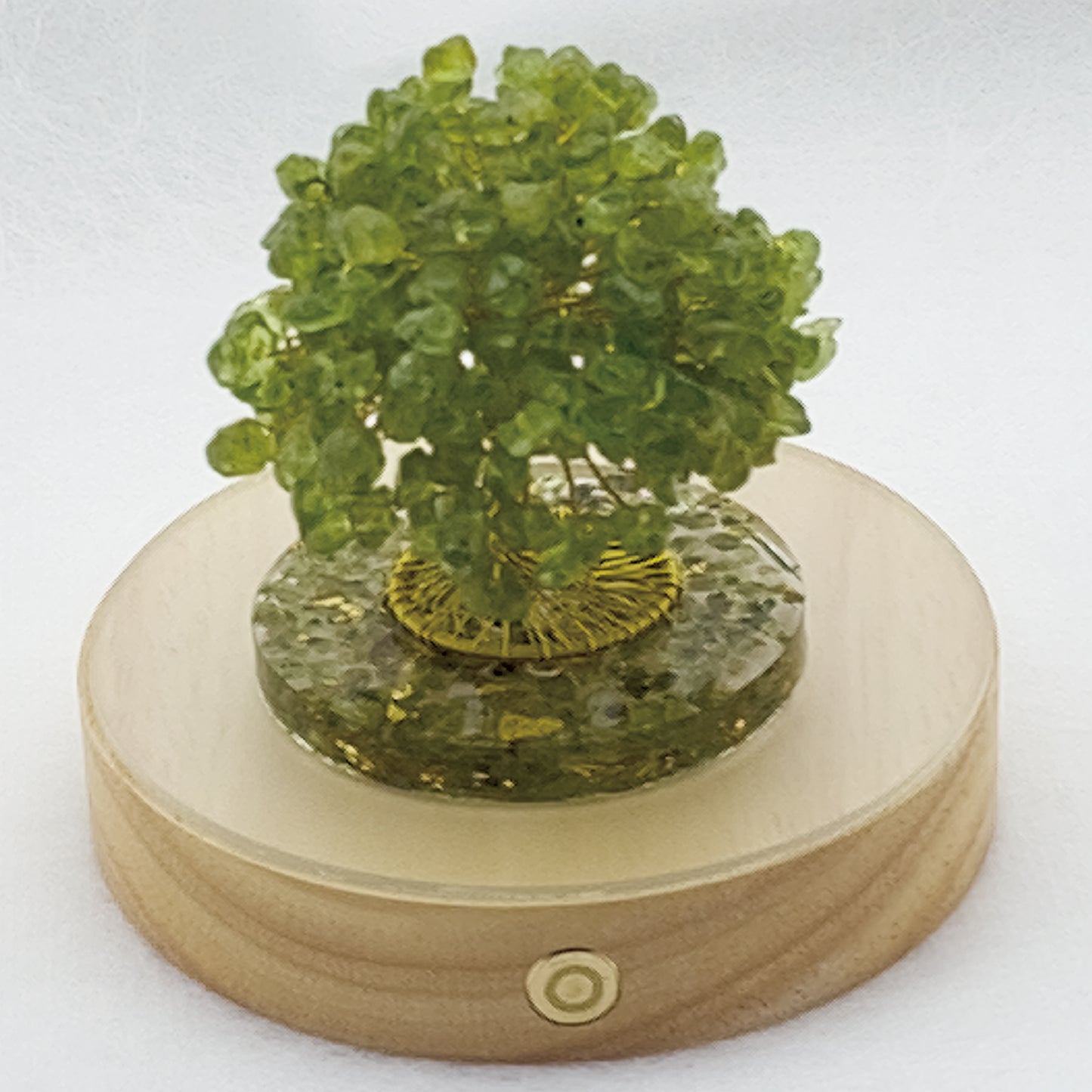 Money Tree Olivine  @ Love Paradise Series