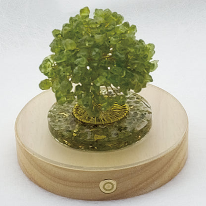Money Tree Olivine  @ Love Paradise Series