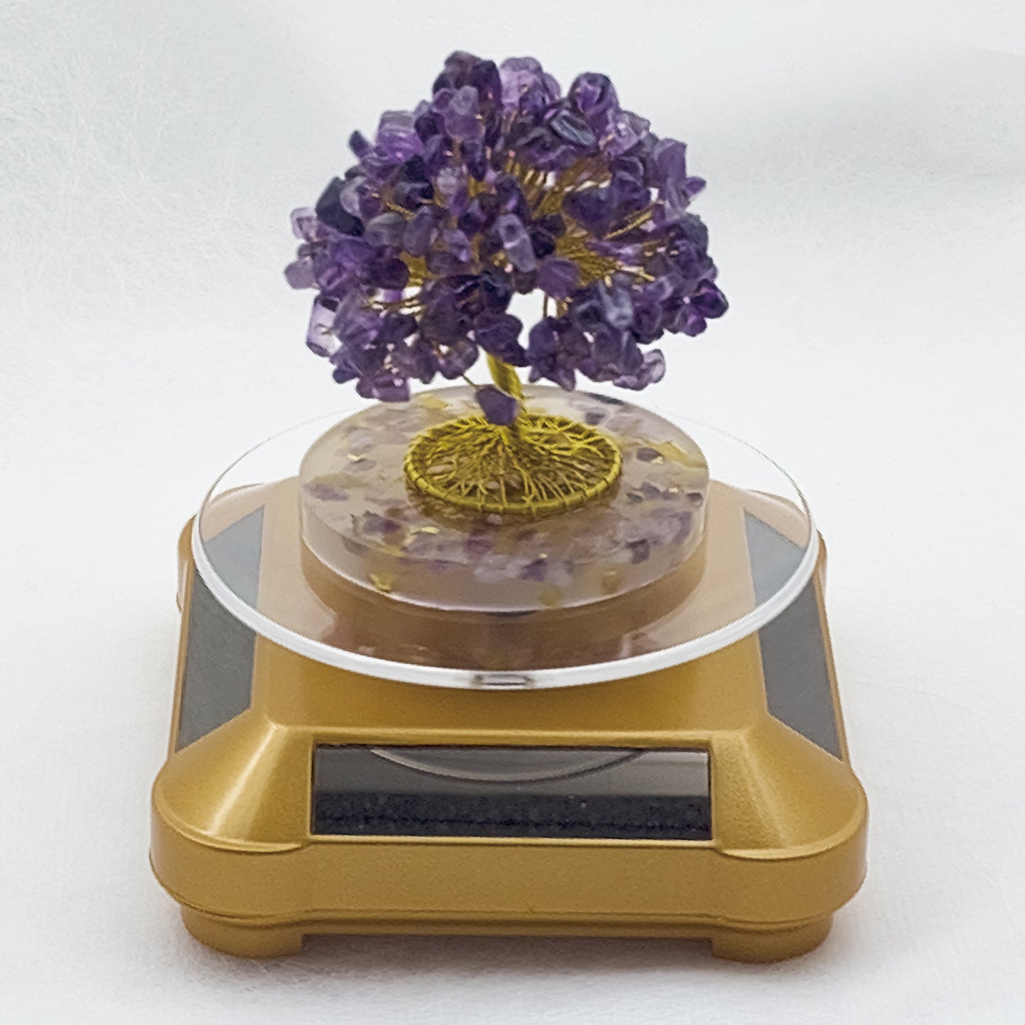 Money Tree Amethyst @ Love Paradise Series