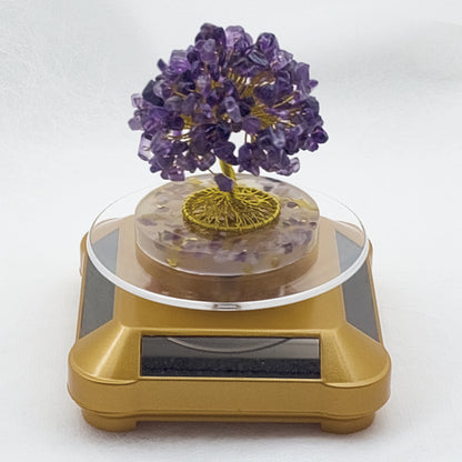 Money Tree Amethyst @ Love Paradise Series