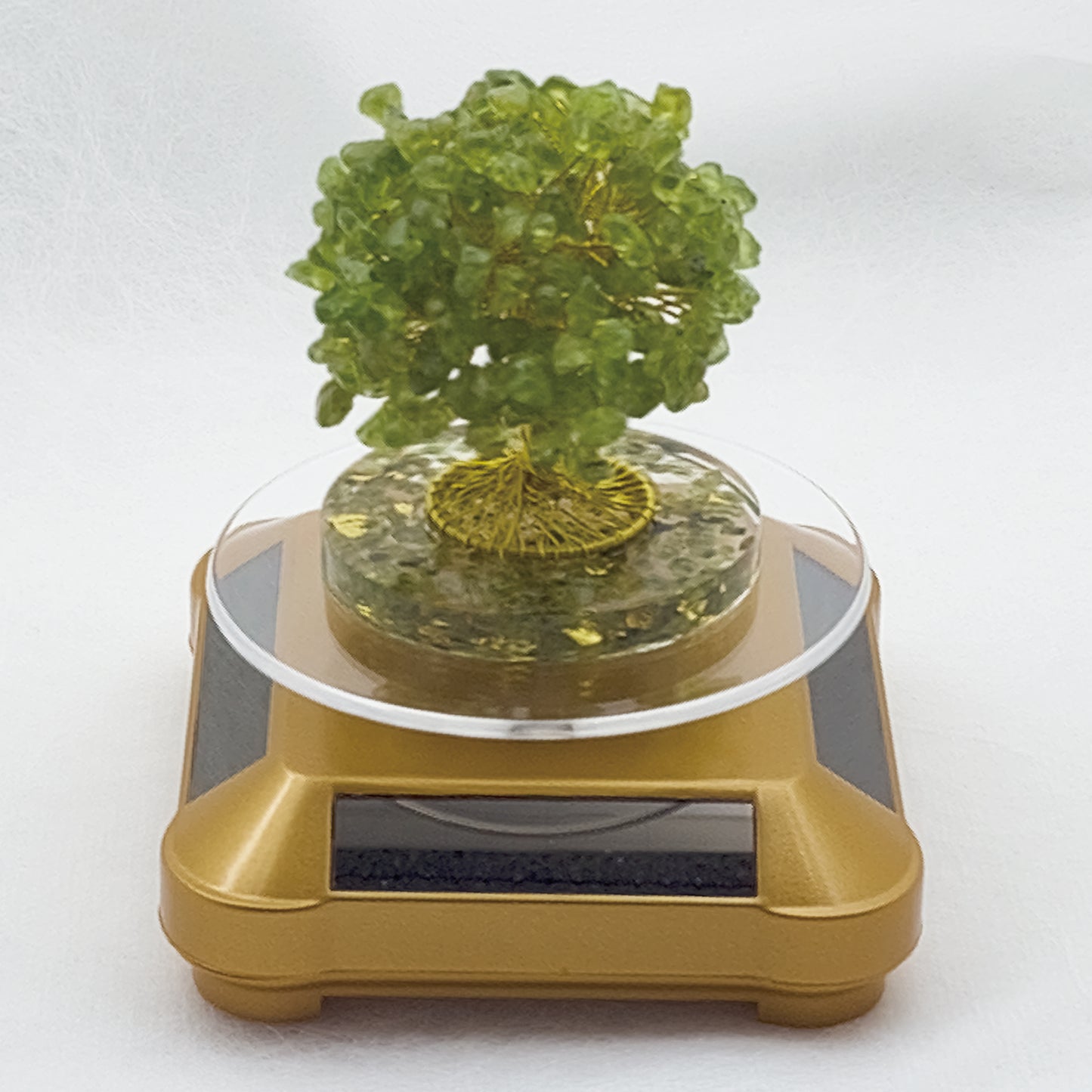Money Tree Olivine  @ Love Paradise Series