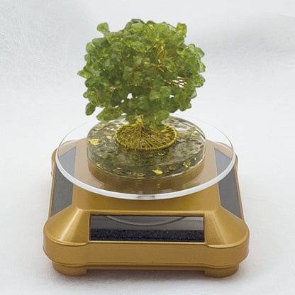 Money Tree Olivine  @ Love Paradise Series