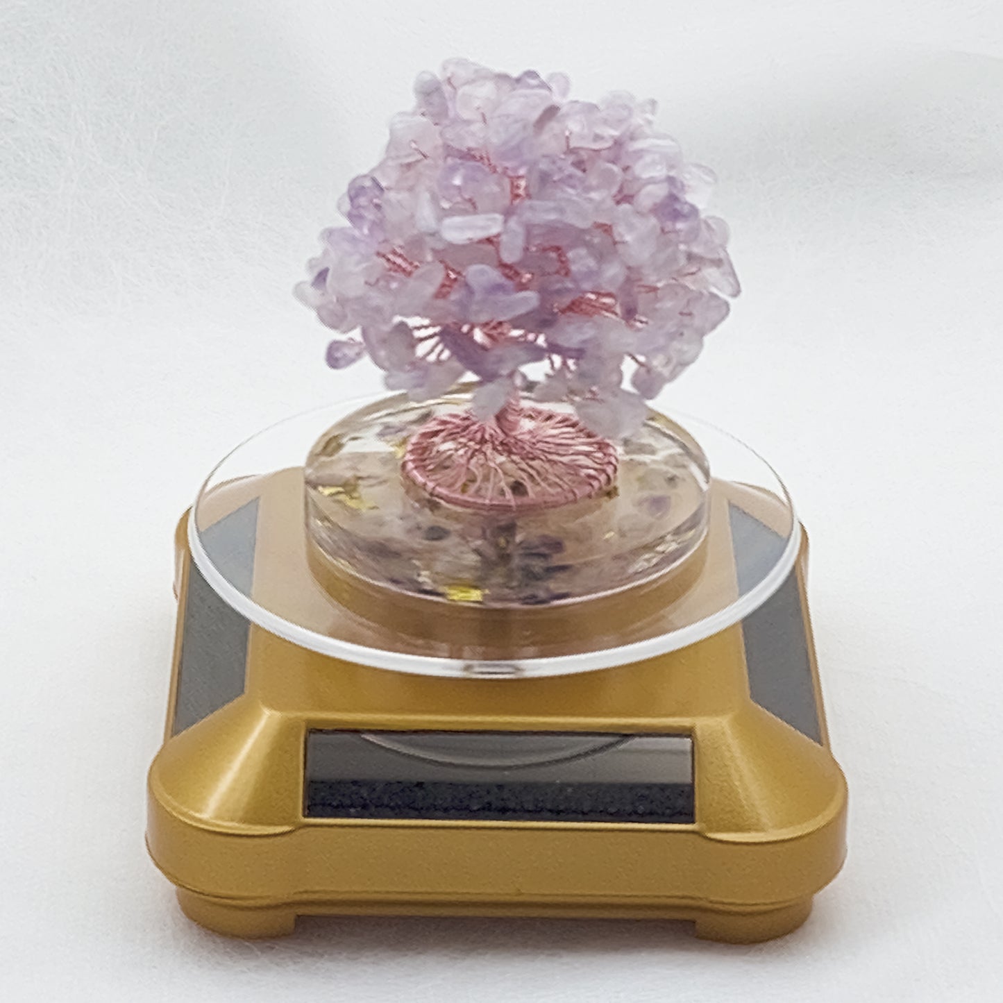 Money Tree Lavender Amethyst @ Love Paradise Series