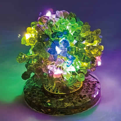 Money Tree Olivine  @ Love Paradise Series