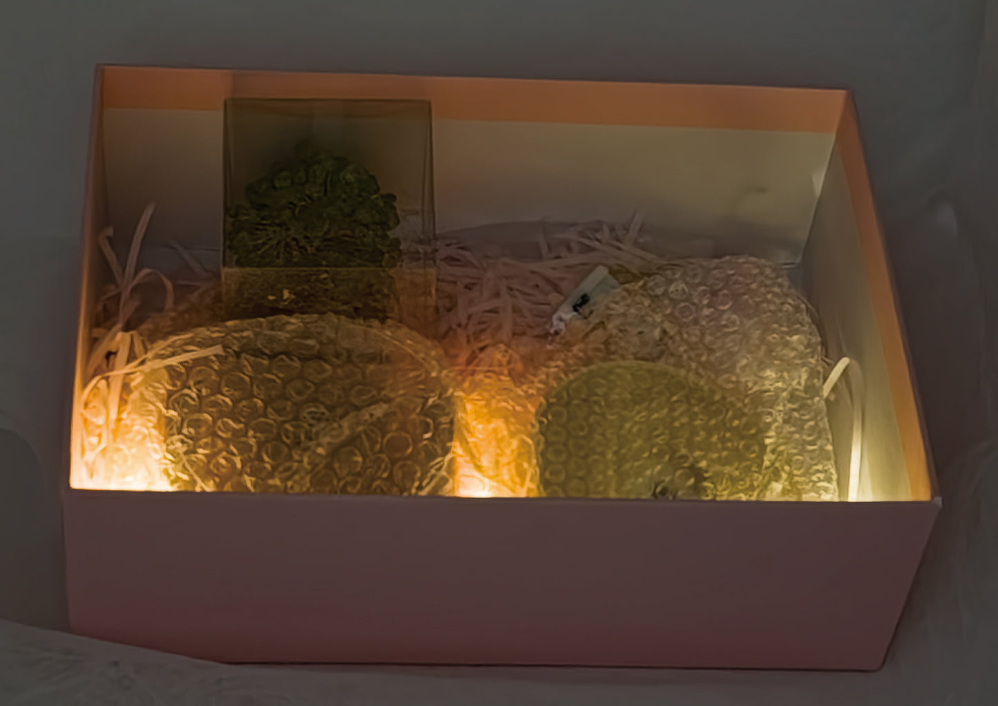 Money Tree Olivine  @ Love Paradise Series