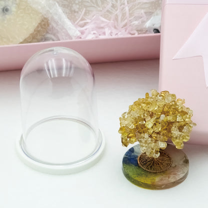 Citrine  Lucky Money Crystal Tree W @ Love Paradise Series