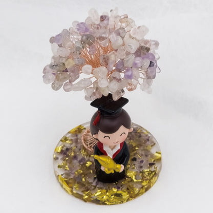 Super Seven Tree Graduates Boy @ Love Paradise Series