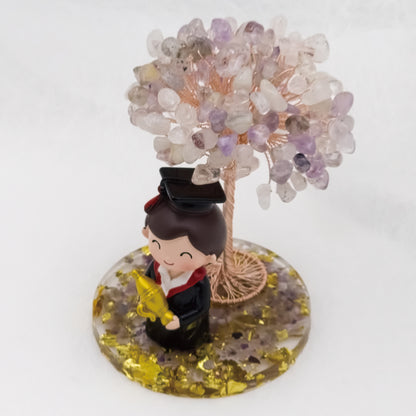 Super Seven Tree Graduates Boy @ Love Paradise Series